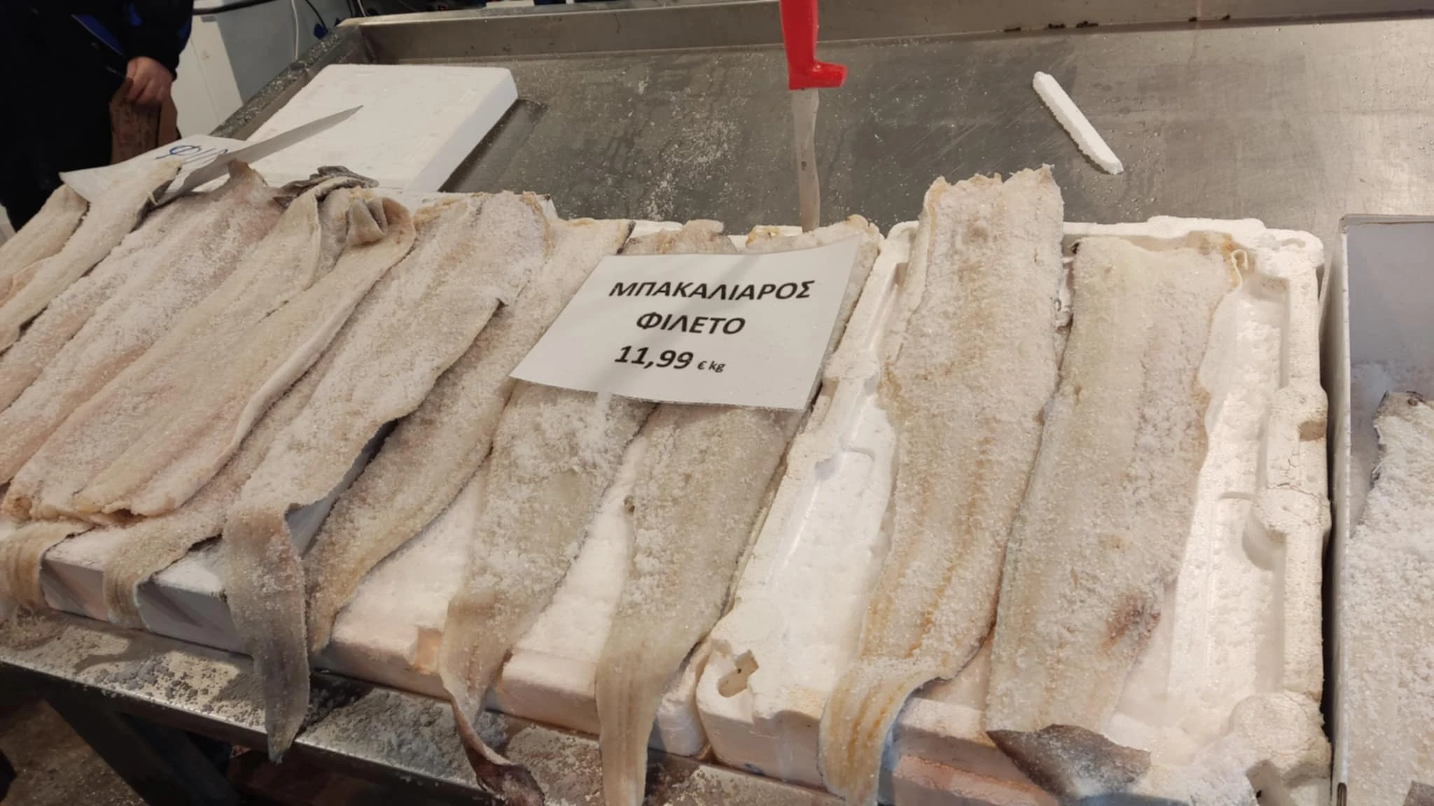 0a720521-f410-4813-bff4-84b5a1b68a23.jfif?v=0