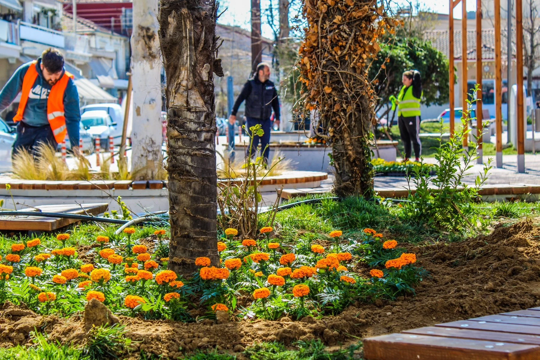 2025-03-21-14-07-46-275.jpg?v=0