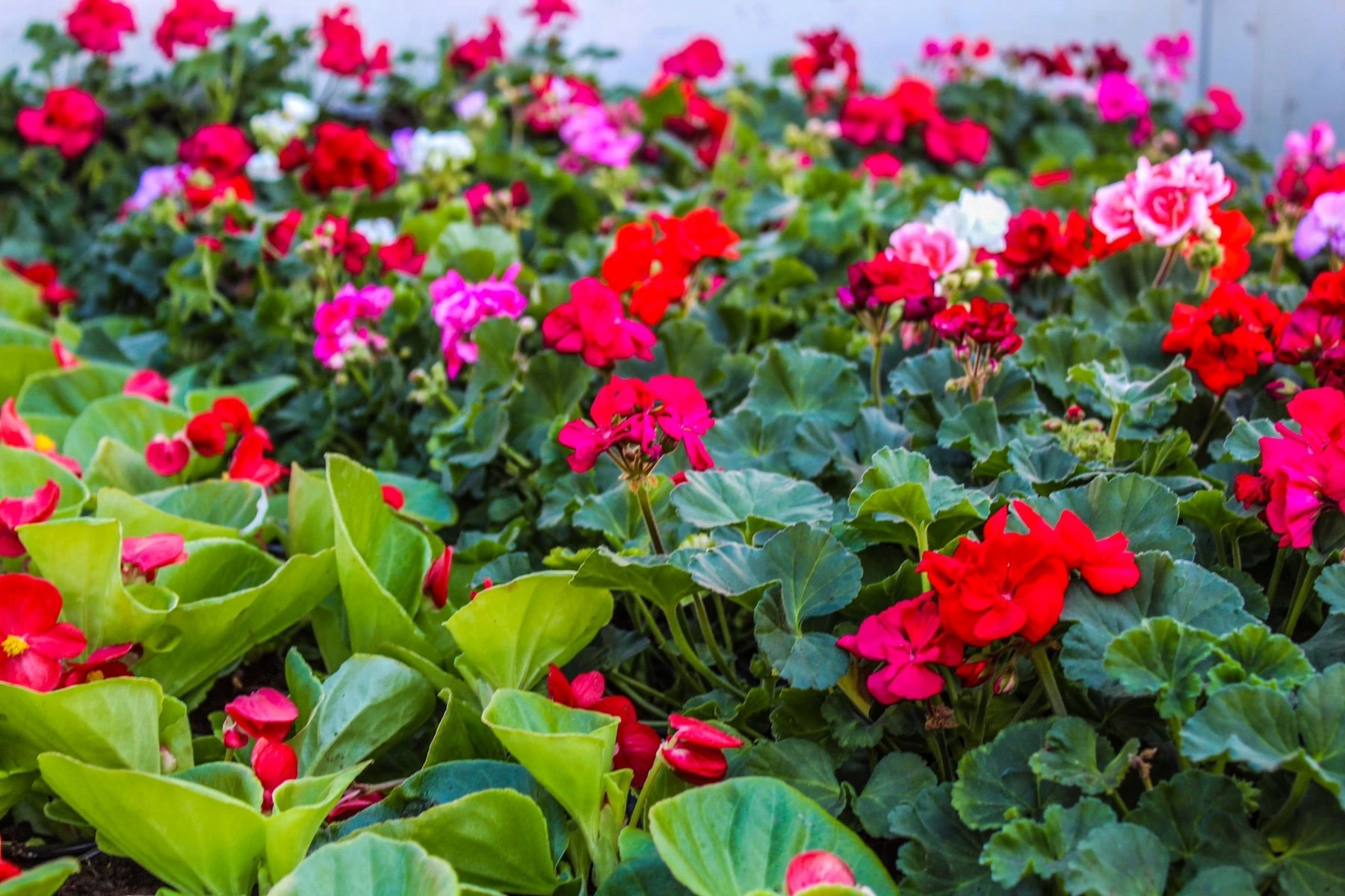 2025-03-21-14-07-46-677.jpg?v=0