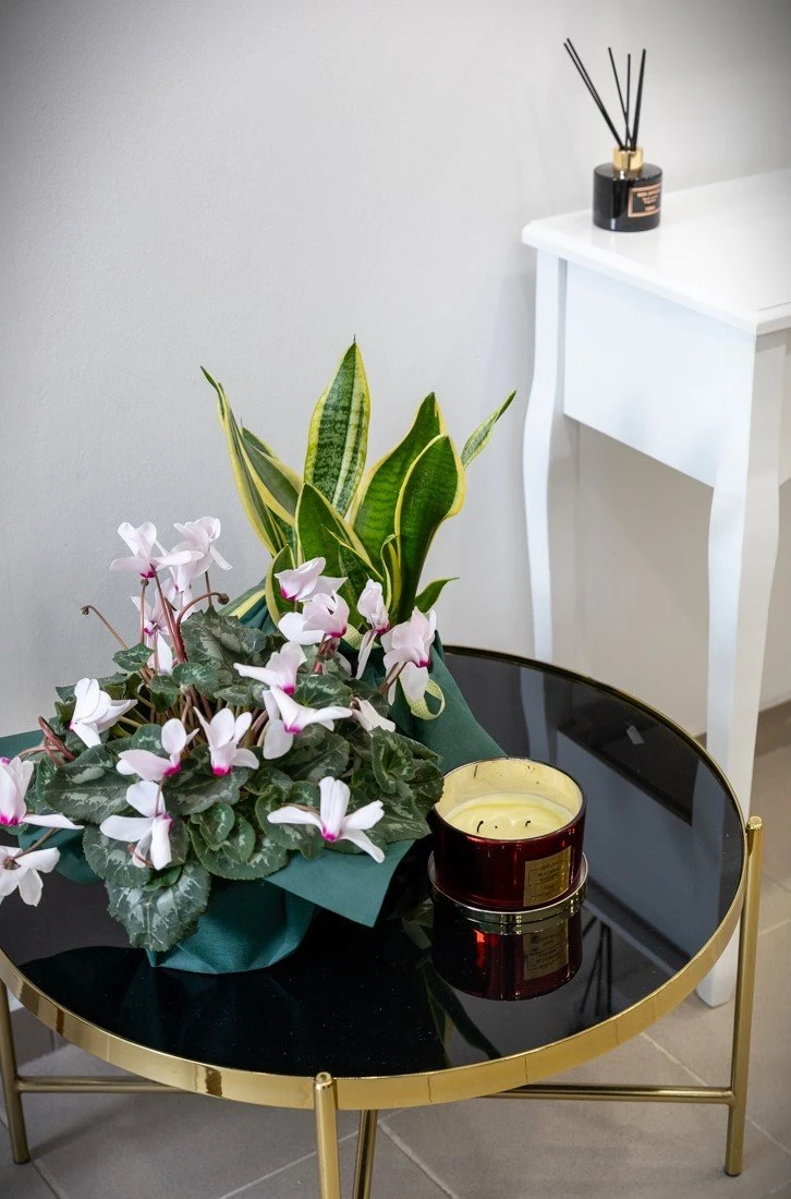 beauty-rainbow19.jpg?v=0 beauty-rainbow19.jpg?v=0