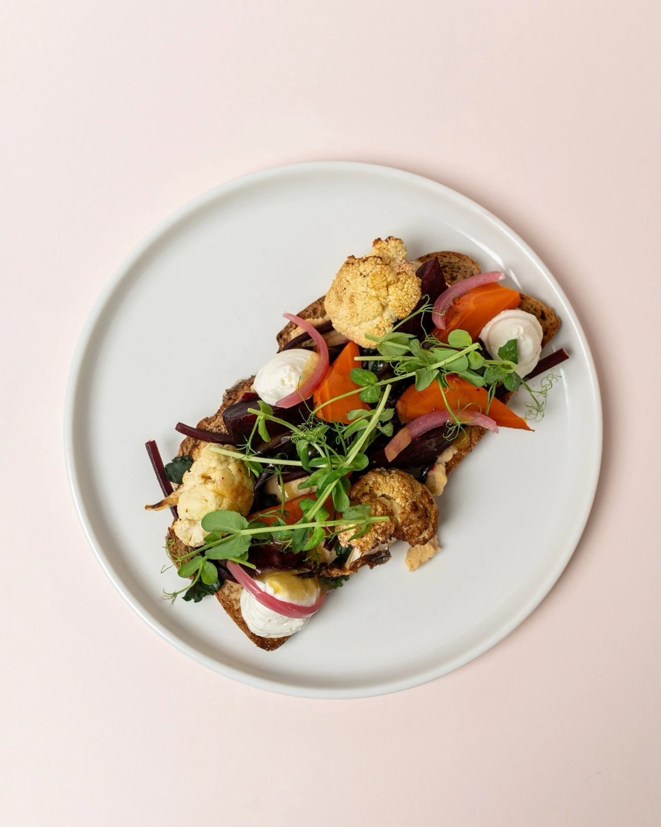 donkey-garden-14.jpg?v=0