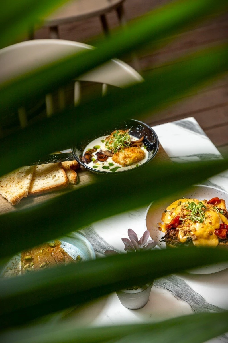 donkey-garden-18.jpg?v=0