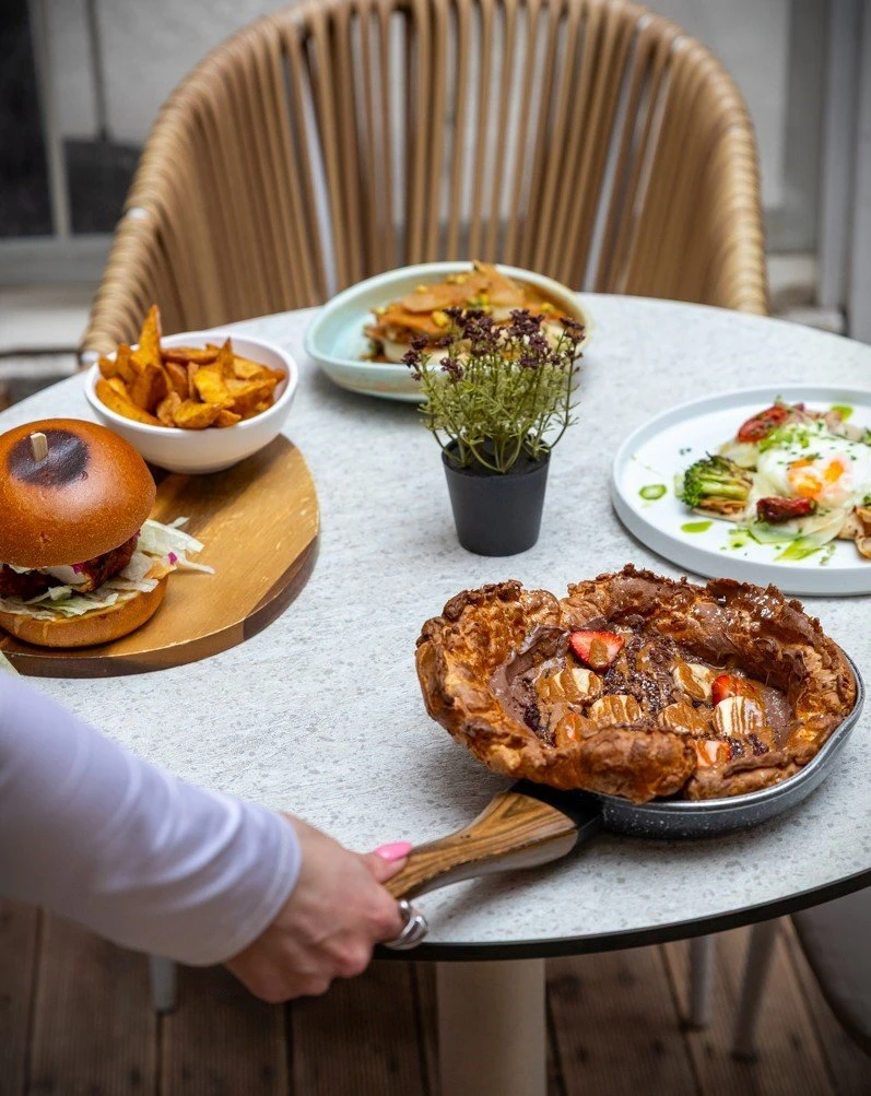 donkey-garden-19.jpg?v=0