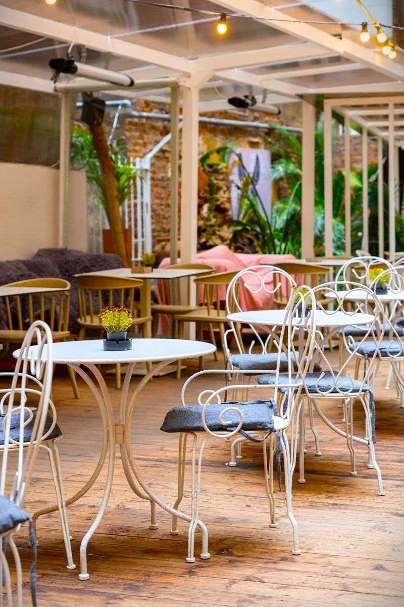 donkey-garden-5.jpg?v=0