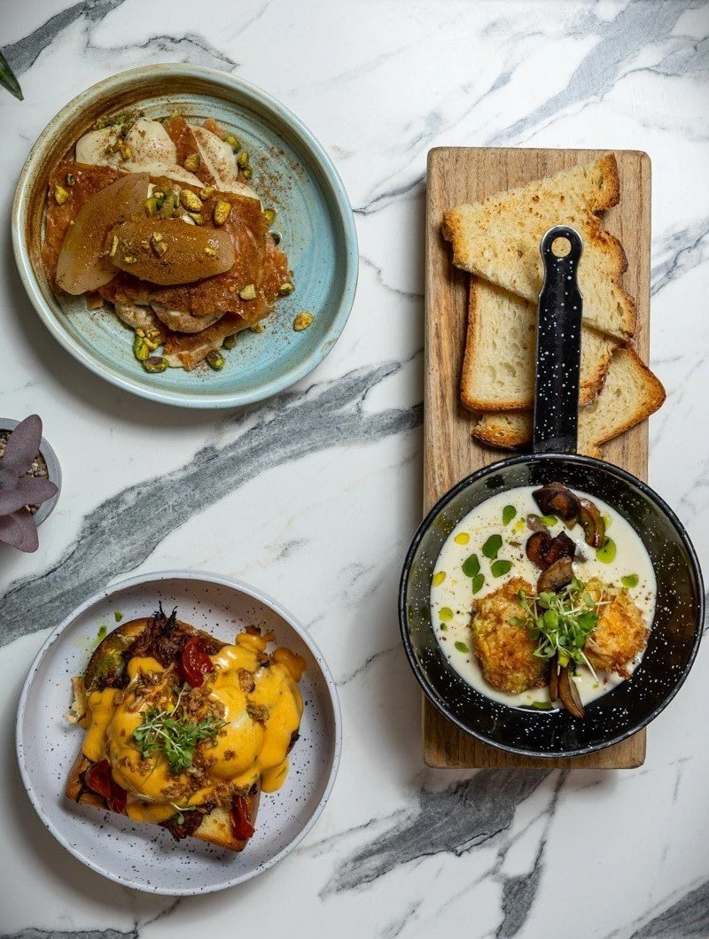 donkey-garden-6.jpg?v=0