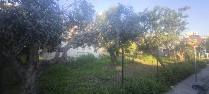 kalamaria-oikopedo-fileto4.jpg?v=0