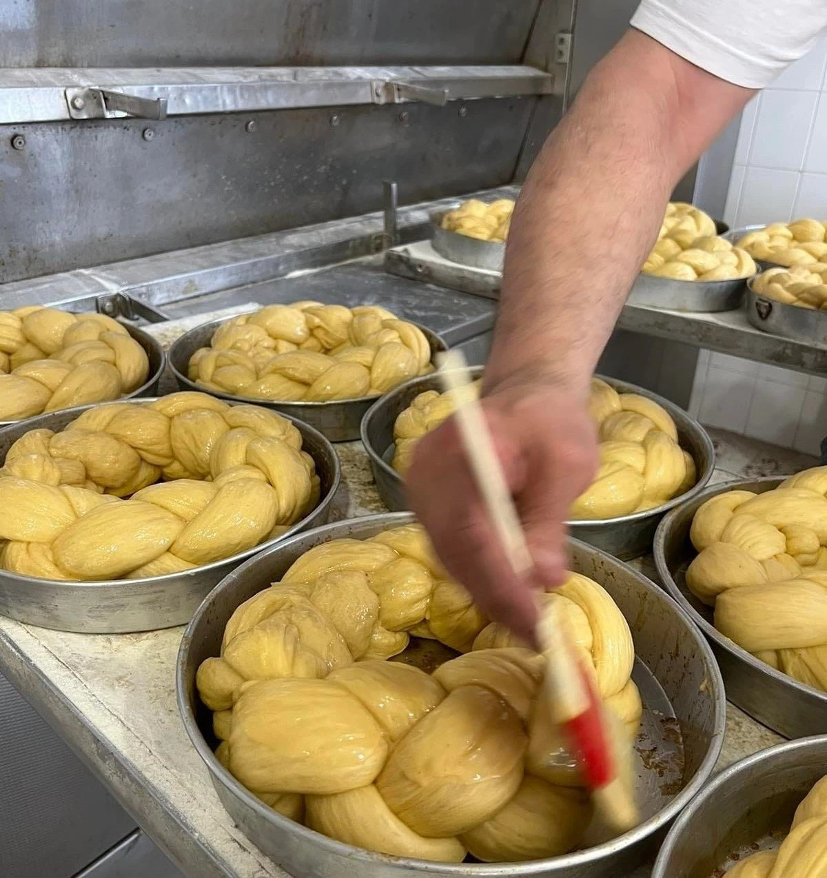 koykoymeria12.jpg?v=0