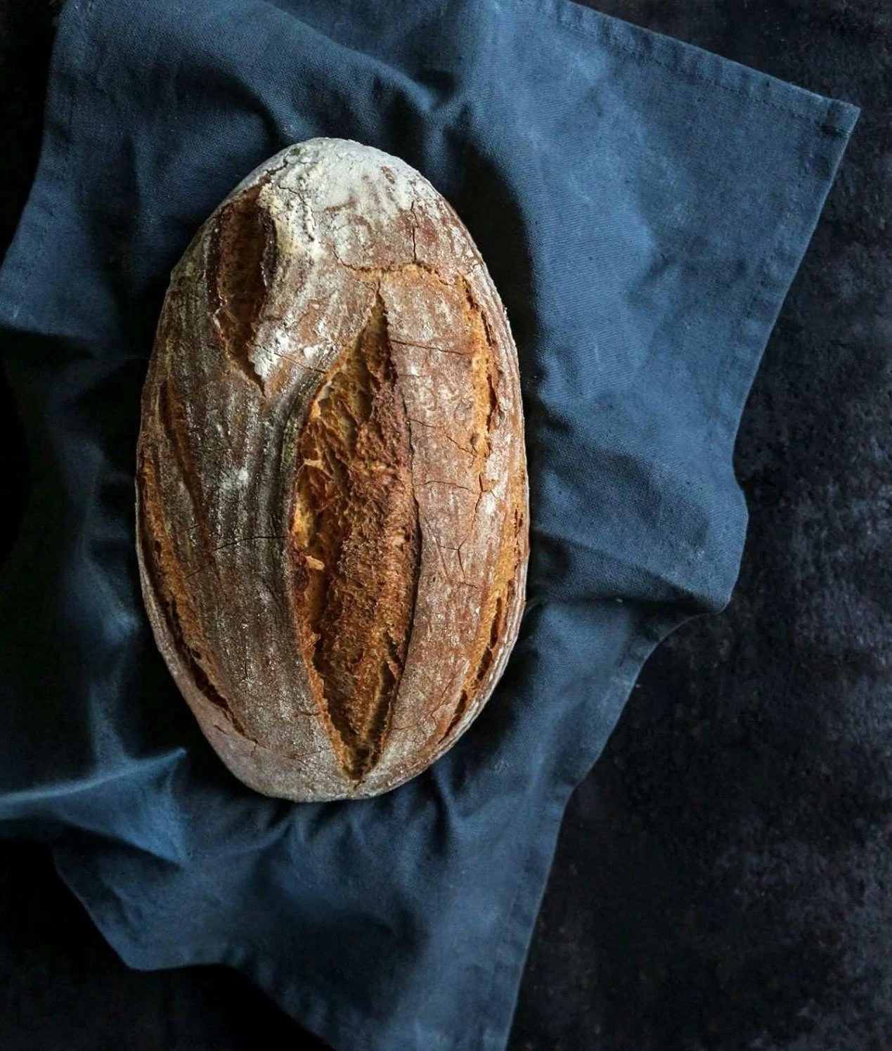 koykoymeria3.jpg?v=0