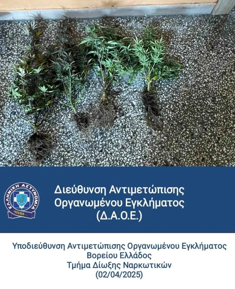 narkotika.jpg narkotika.jpg