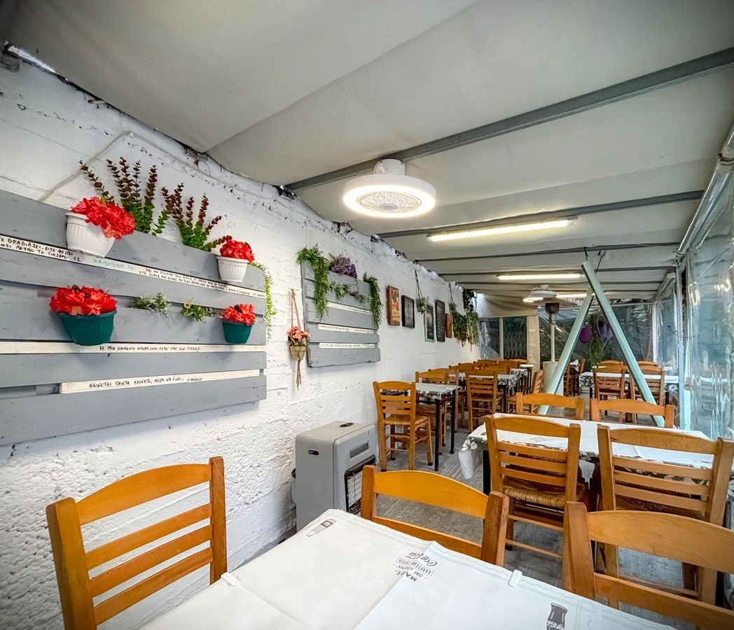 petrino15.jpg?v=0 petrino15.jpg?v=0