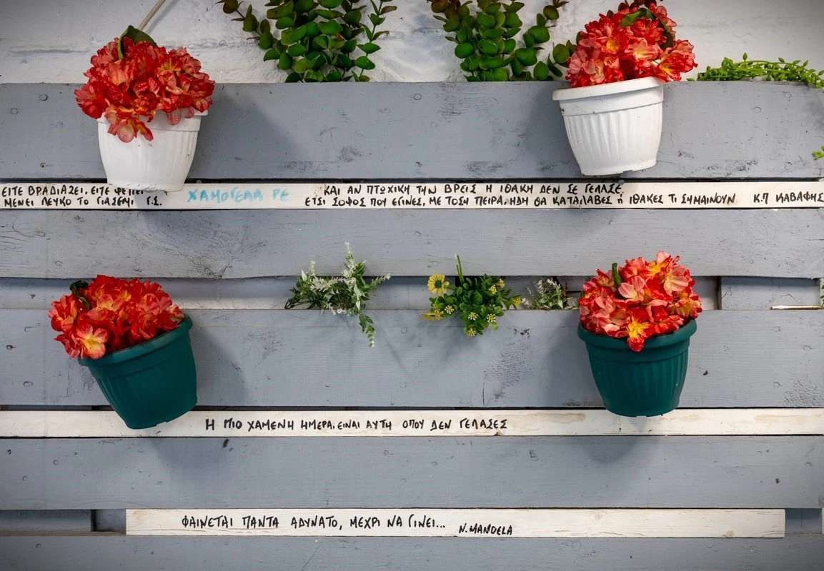 petrino16.jpg?v=0 petrino16.jpg?v=0