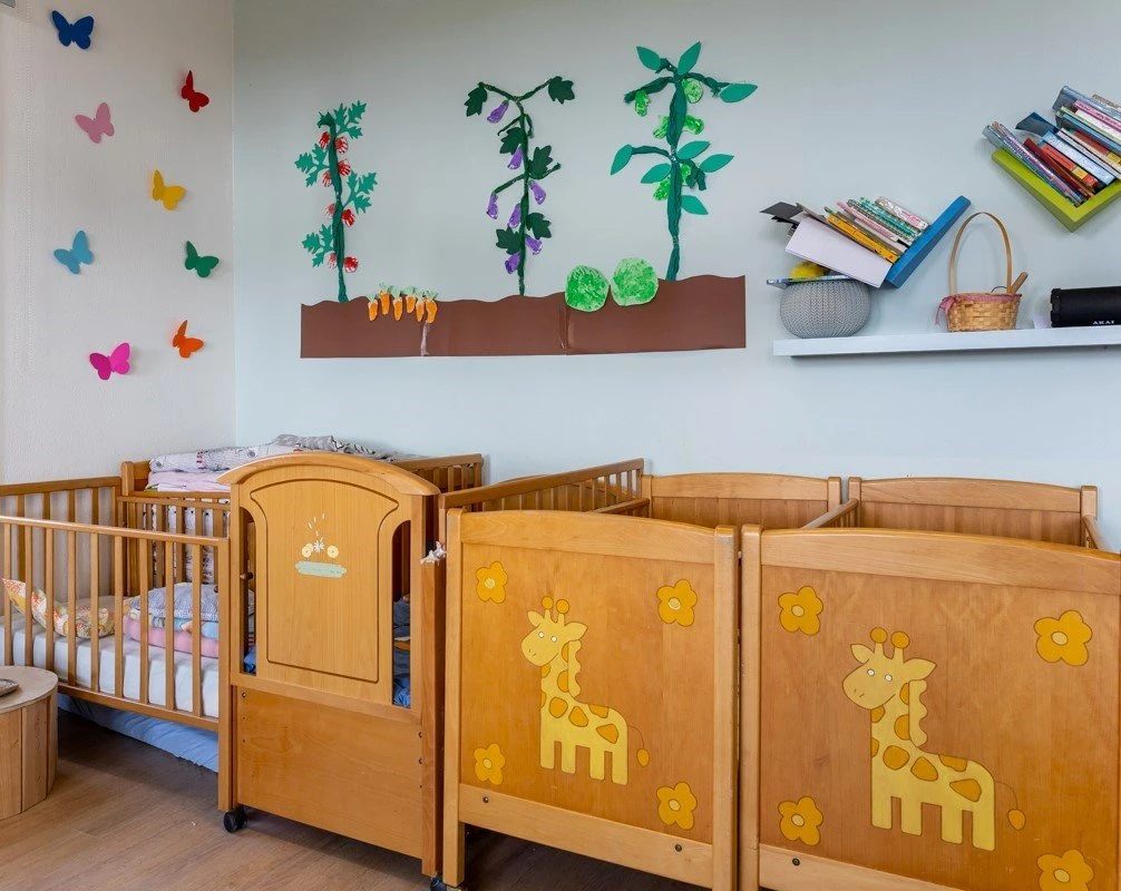 to-scholio-tis-fysis10.jpg?v=0