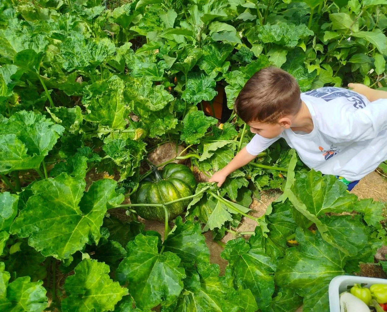 to-scholio-tis-fysis15.jpg?v=0