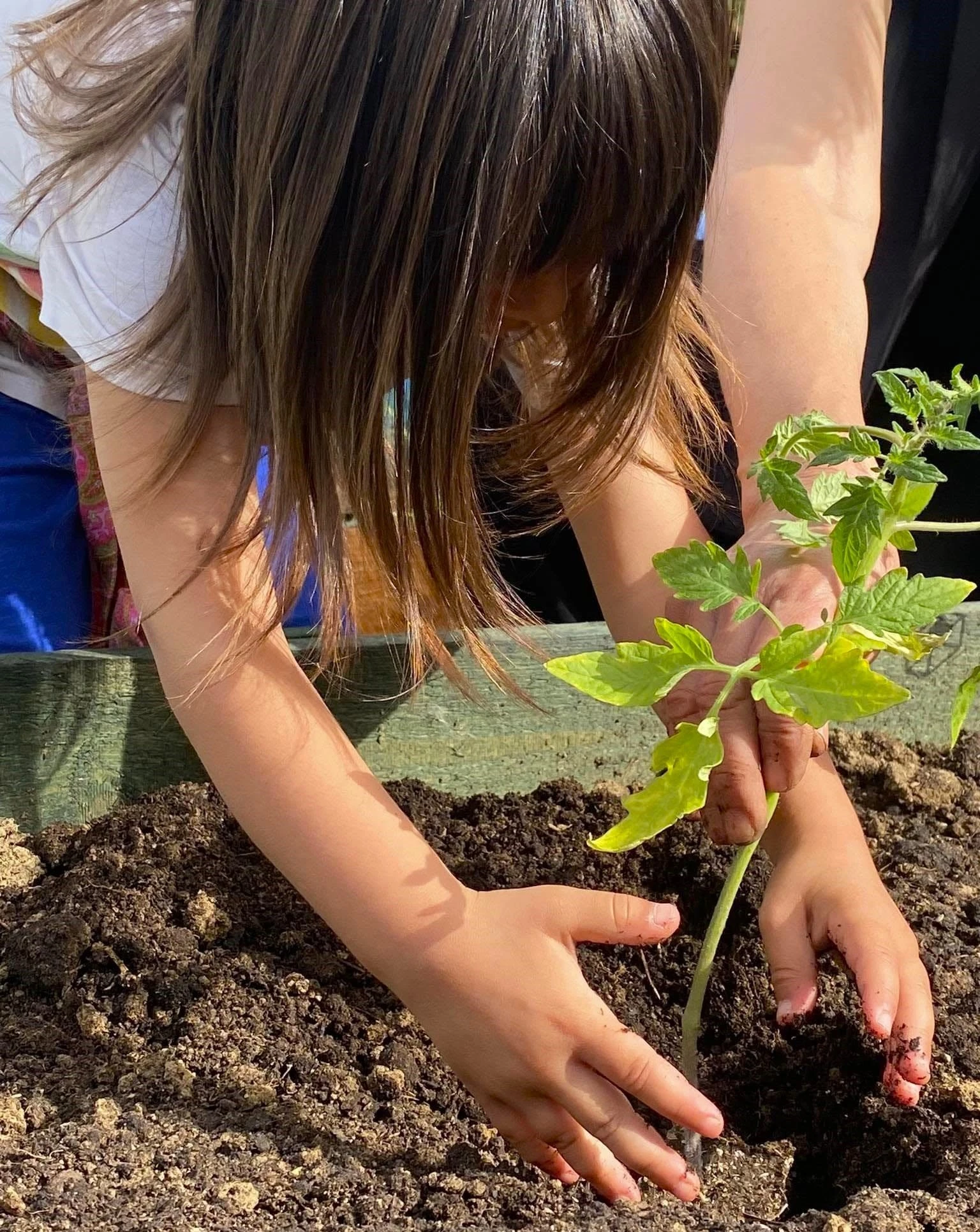 to-scholio-tis-fysis16.jpg?v=0