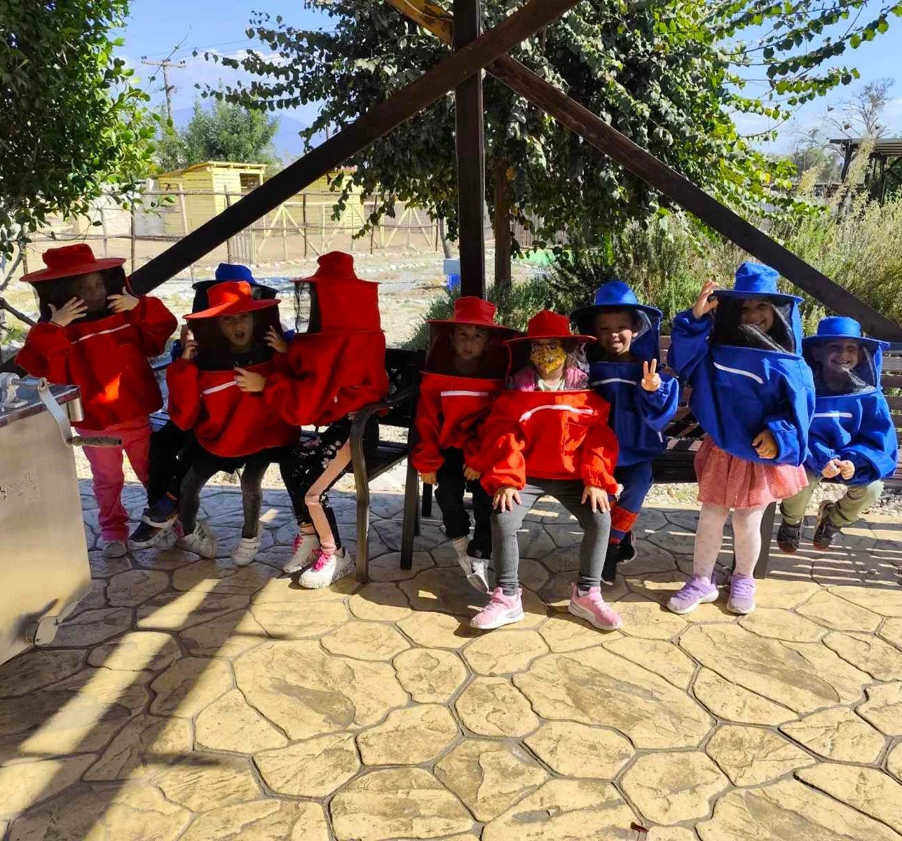 to-scholio-tis-fysis18.jpg?v=0