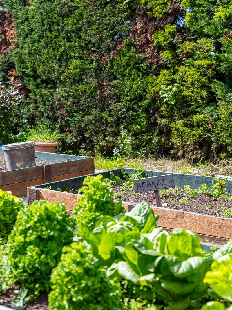 to-scholio-tis-fysis19.jpg?v=0