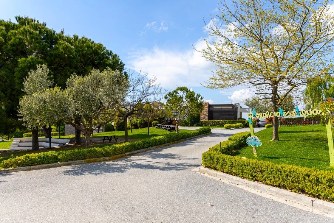 to-scholio-tis-fysis27.jpg?v=0