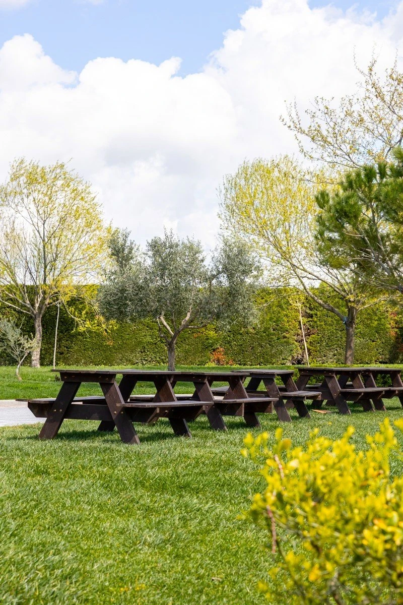 to-scholio-tis-fysis3.jpg?v=0