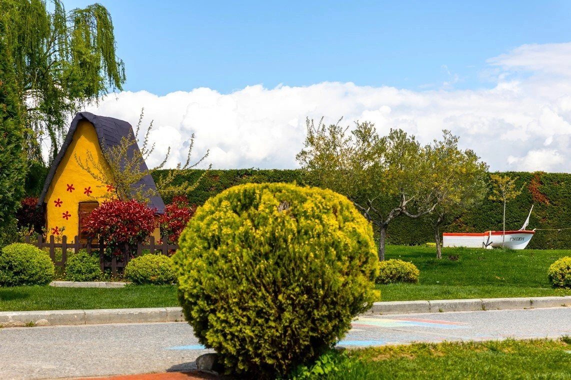 to-scholio-tis-fysis4.jpg?v=0