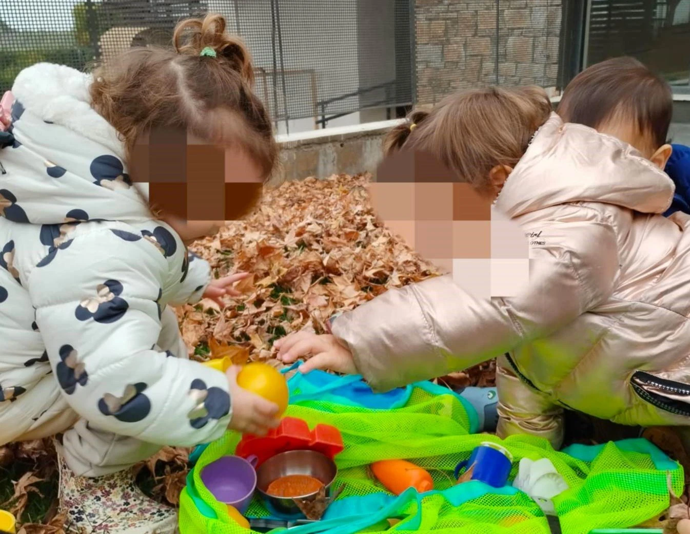 to-scholio-tis-fysis9.jpg?v=0