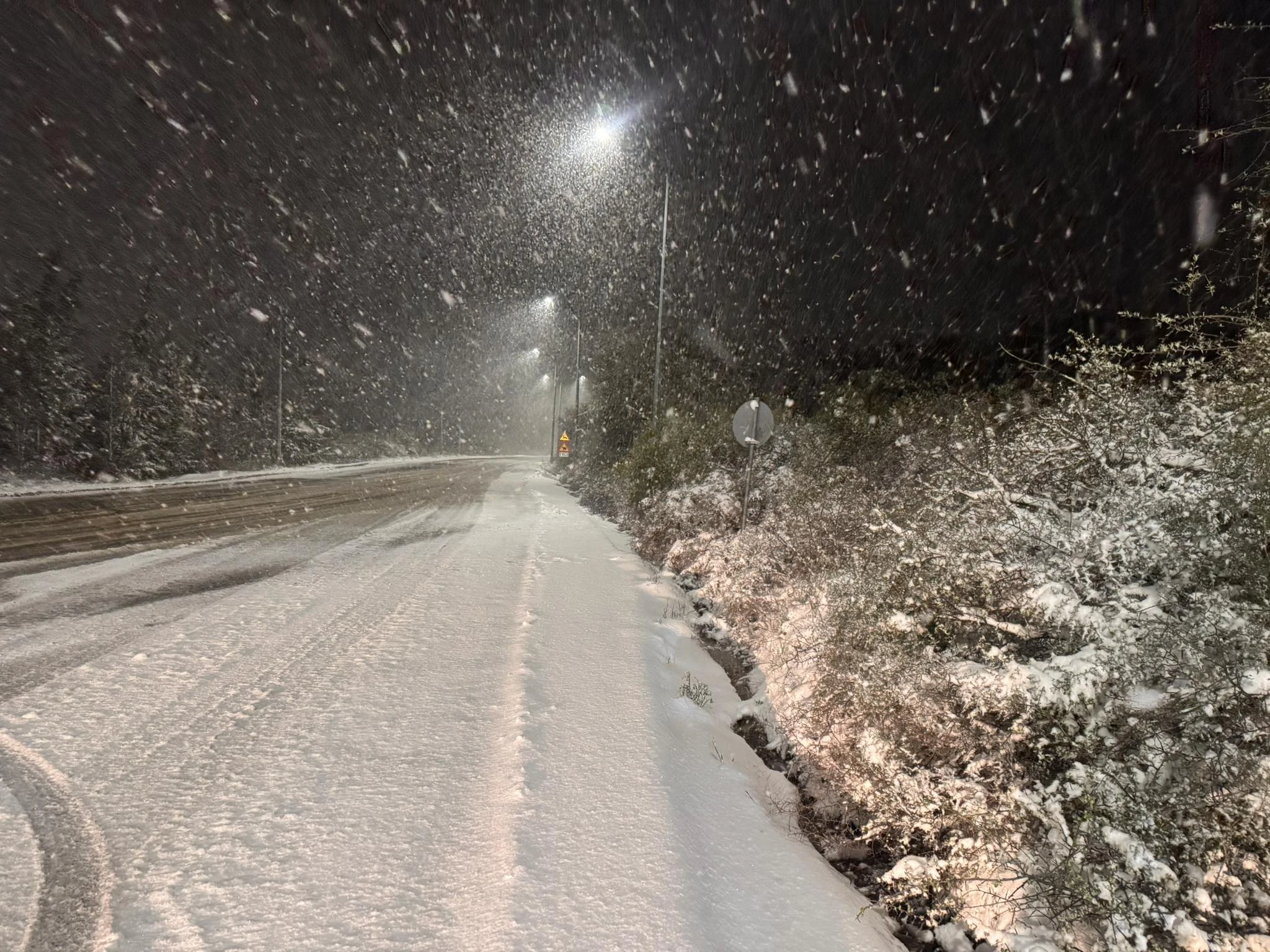 xionia-xortiatis-2.jpg?v=0