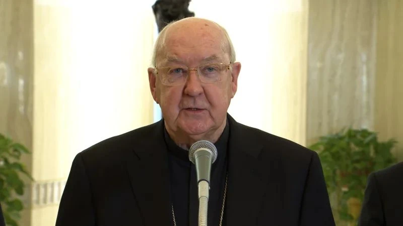 cardinal-kevin-farrell-camerlengo.jpg cardinal-kevin-farrell-camerlengo.jpg