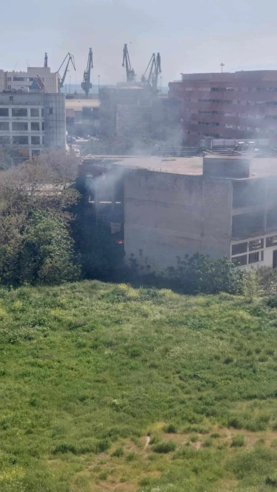 fotia-dytika-3.jpg?v=0