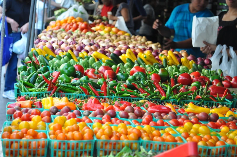 laikes-trofima.jpg?v=0