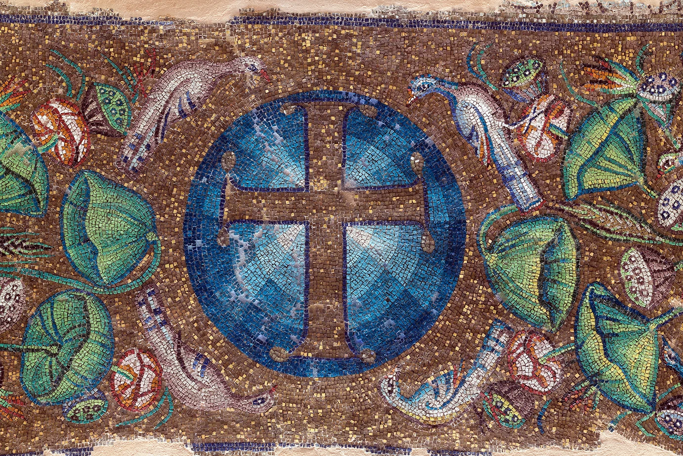 leptomereia-tochoghrafias.jpg?v=0