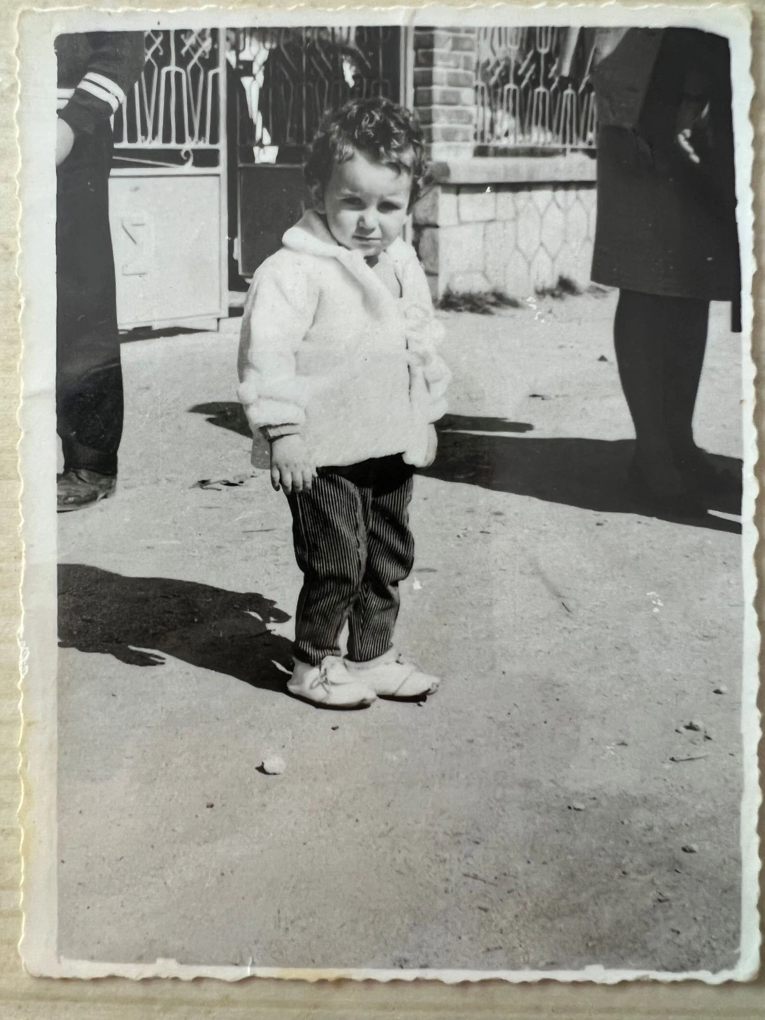 Πιτσιρίκι στη Χαλκιδική