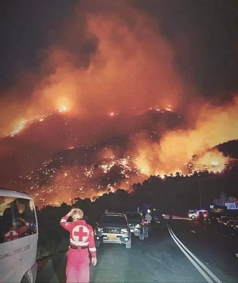 293179789-1212482272907760-6759534402884133711-n.jpg?v=0