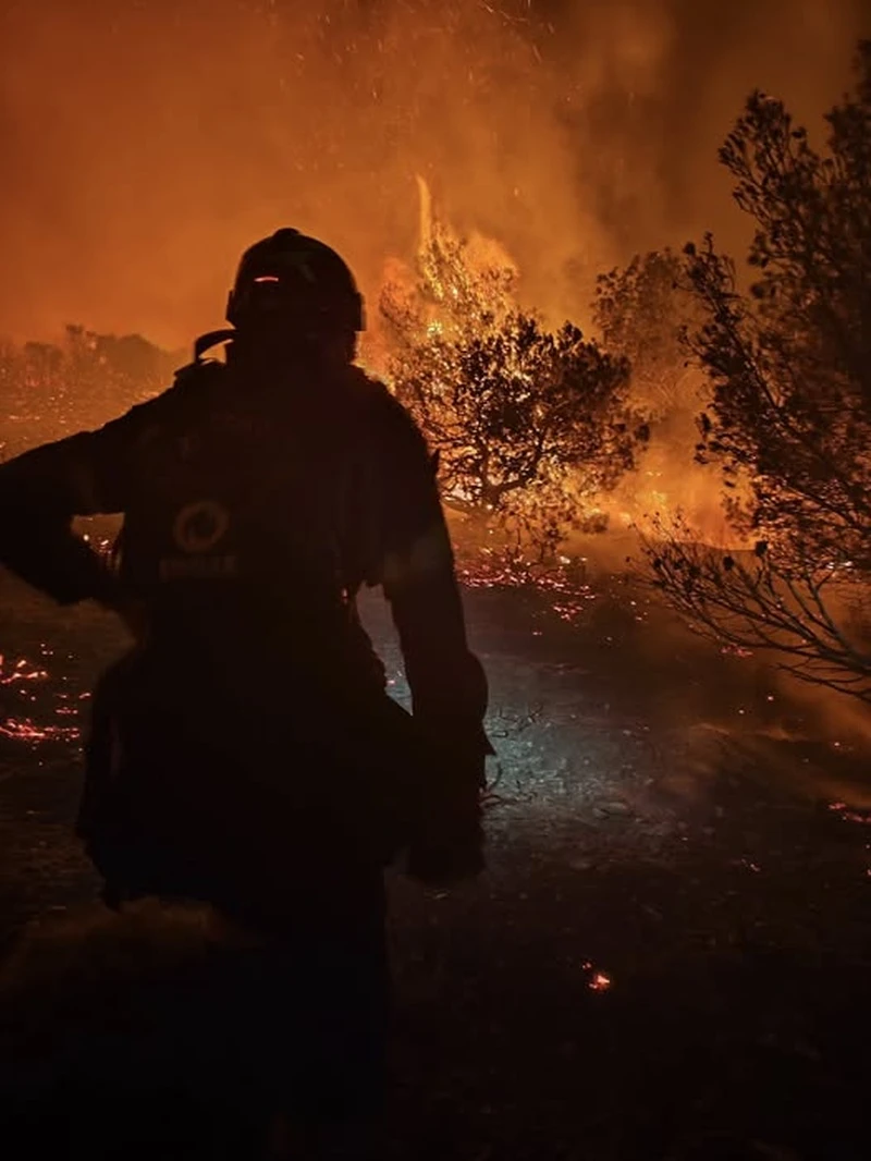 Πυροπροστασια Δασων Λαυρεωτικης