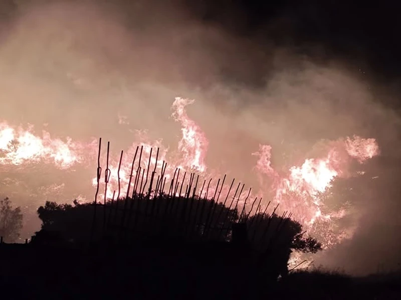 Πυροπροστασια Δασων Λαυρεωτικης  