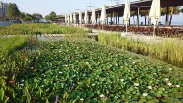 kipos-nerou-16.jpeg?v=0