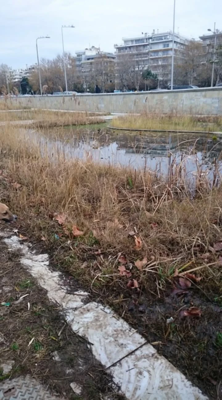 Ο Κήπος του Νερού κατά την περίοδο διοίκησης Ζέρβα Ο Κήπος του Νερού κατά την περίοδο διοίκησης Ζέρβα