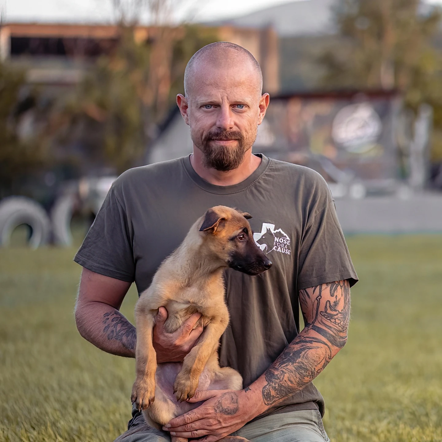 noseforeacause473090720-929365832535879-2360598429672930569-nn4c-severe-noise.jpg?v=0