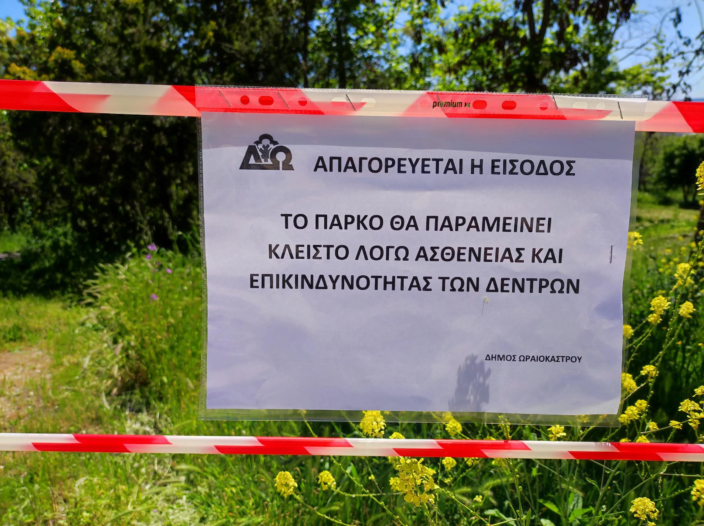 parko-kalogeros-apokleismos-2.jpg?v=0