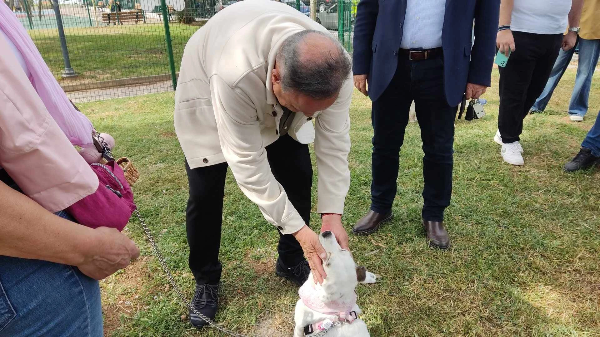 parko-skylon-1.jpg?v=0