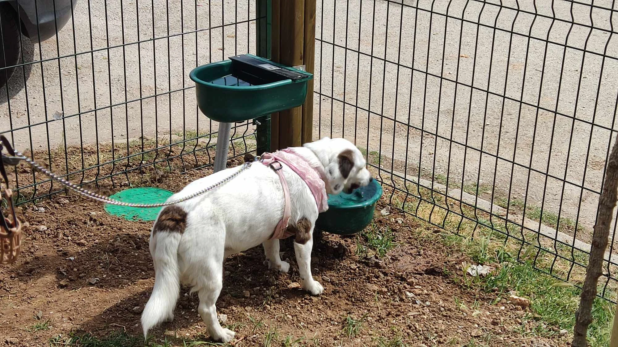 parko-skylon-6.jpg?v=0