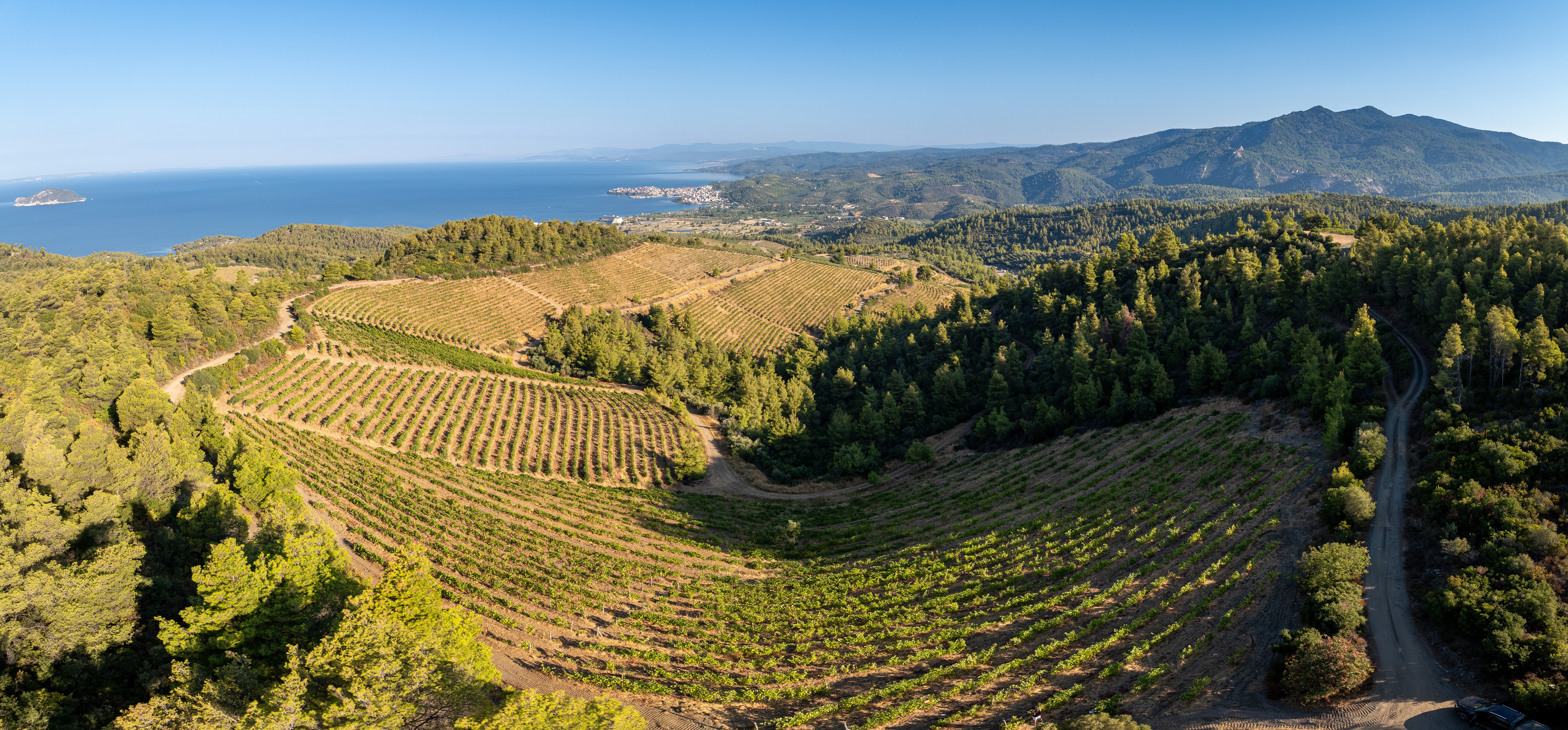 porto-carras-aerials-00017.jpg?v=0 porto-carras-aerials-00017.jpg?v=0