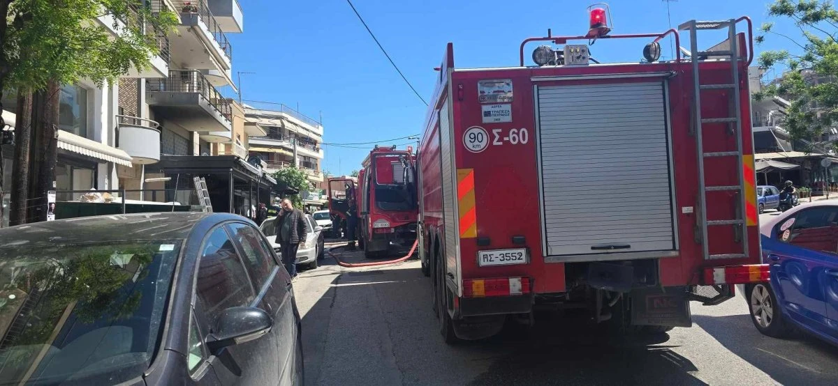 pyrsvestiki-psitopoleio-polixni1.jpg?v=0