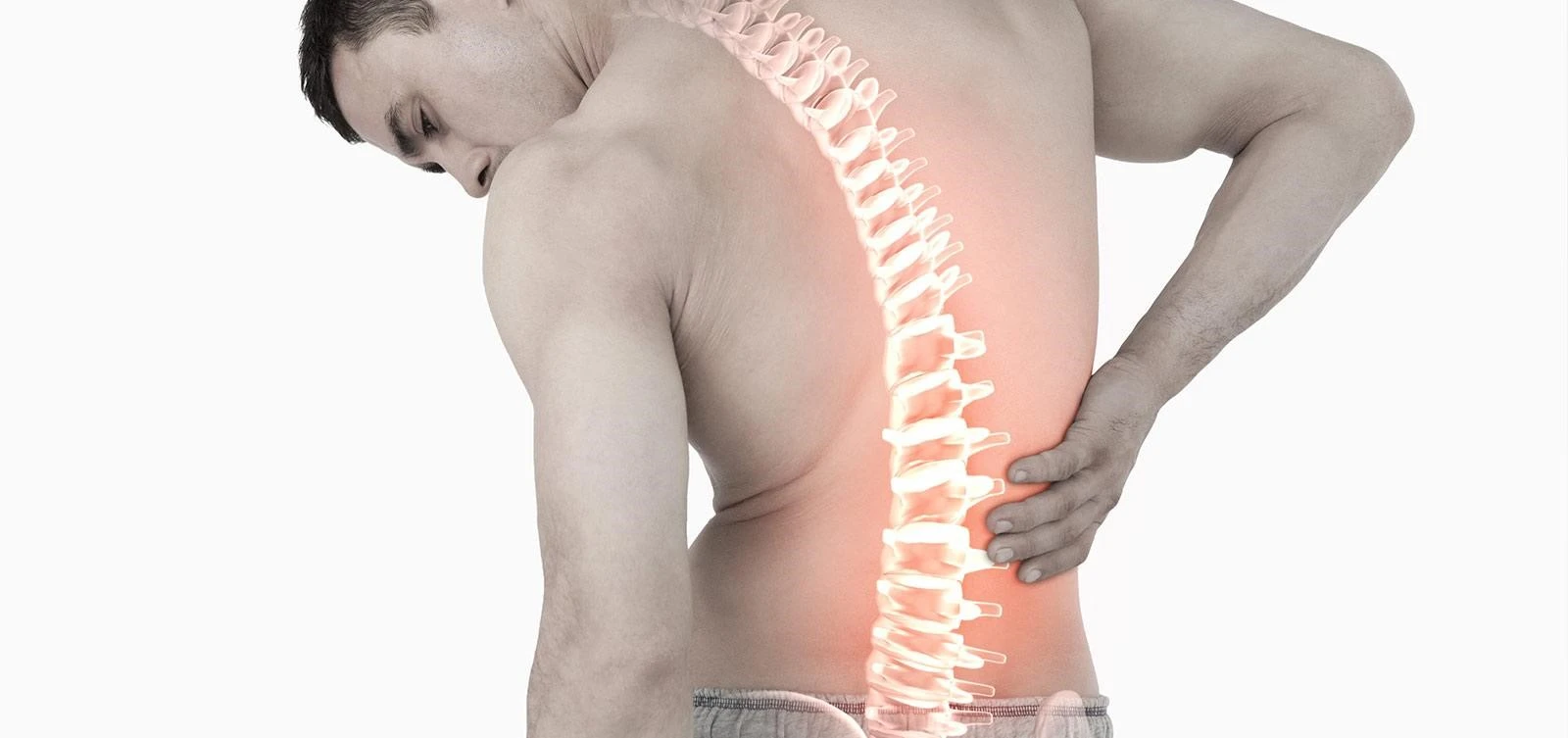 spondilikis2.jpg?v=0