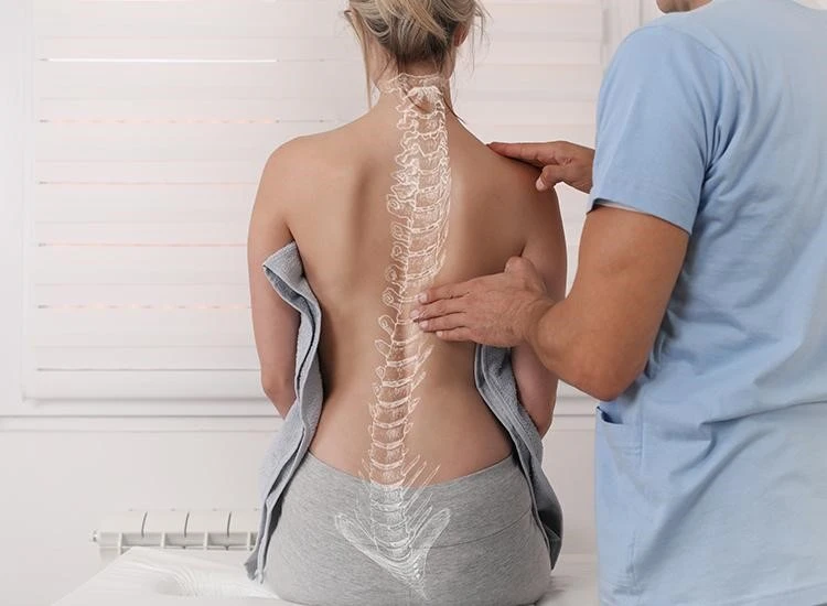 spondilikis4.jpg?v=0