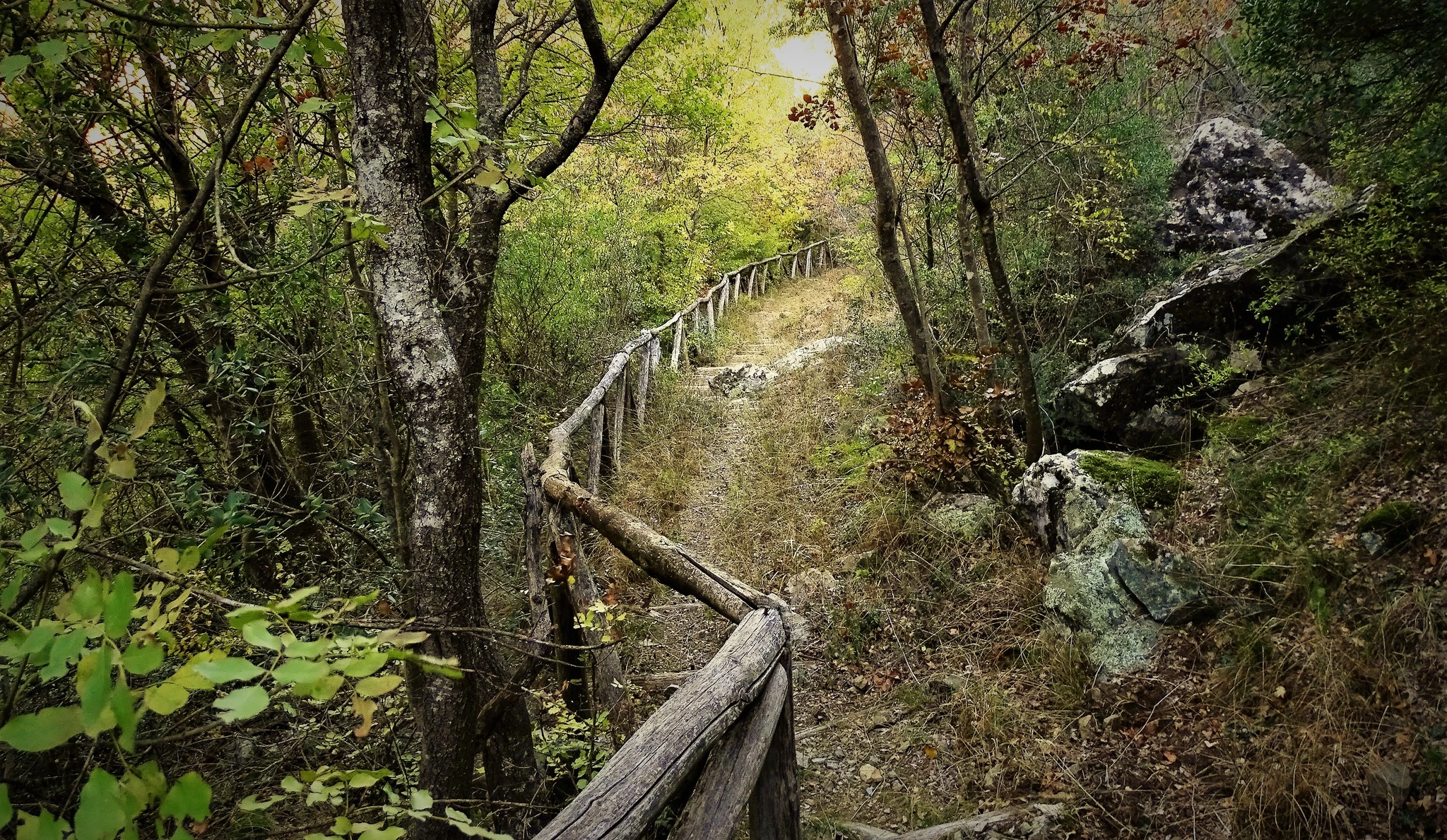 stena-tsighghanas-giorghos-petkos.jpg?v=0