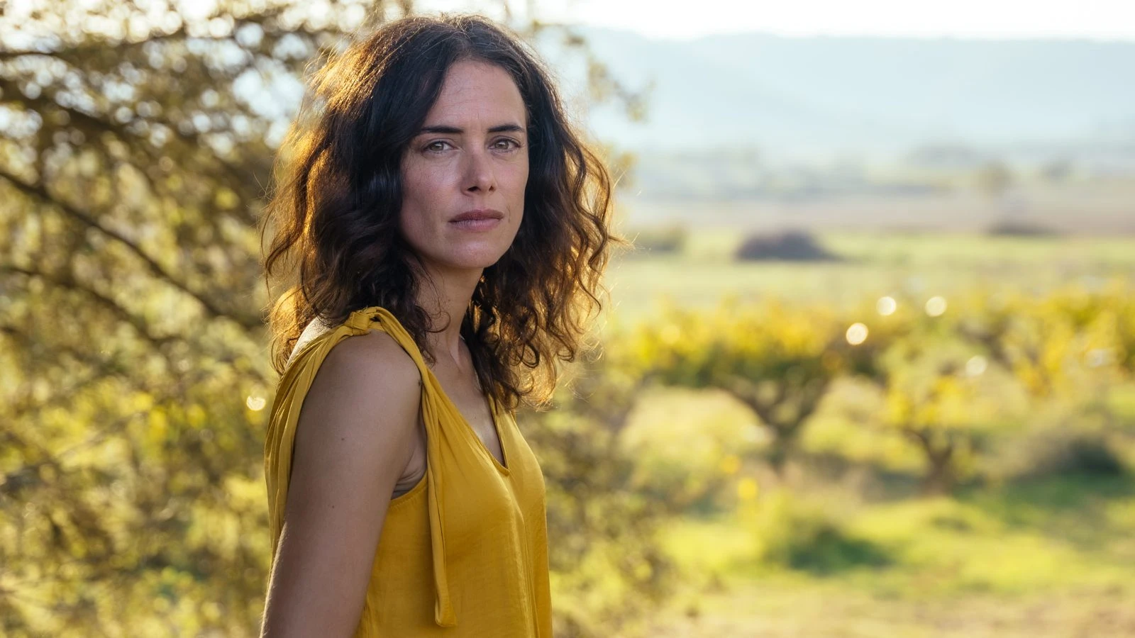 glimmers-2-1600x900.jpg?v=0