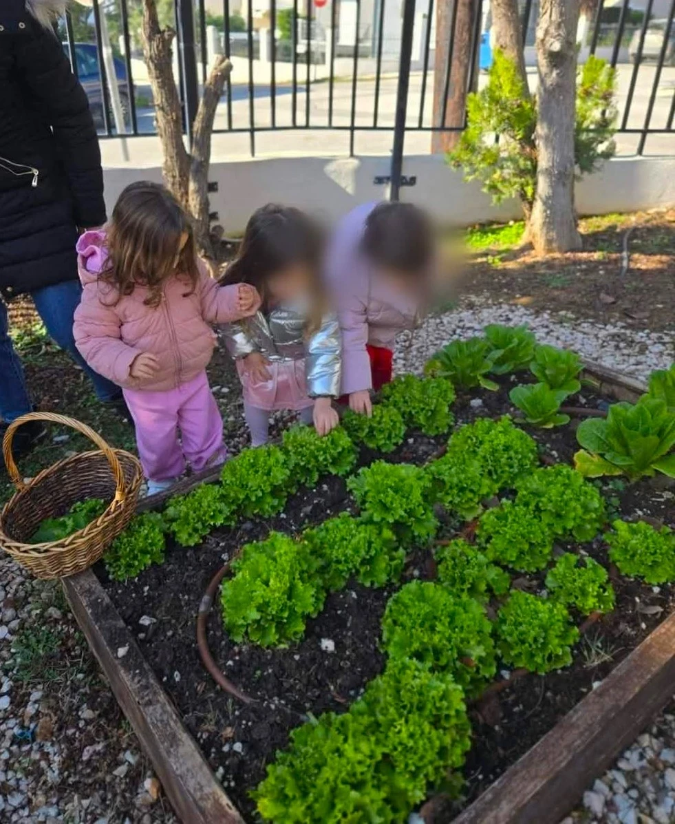 kokkinoskoyfitsa21.jpg?v=0