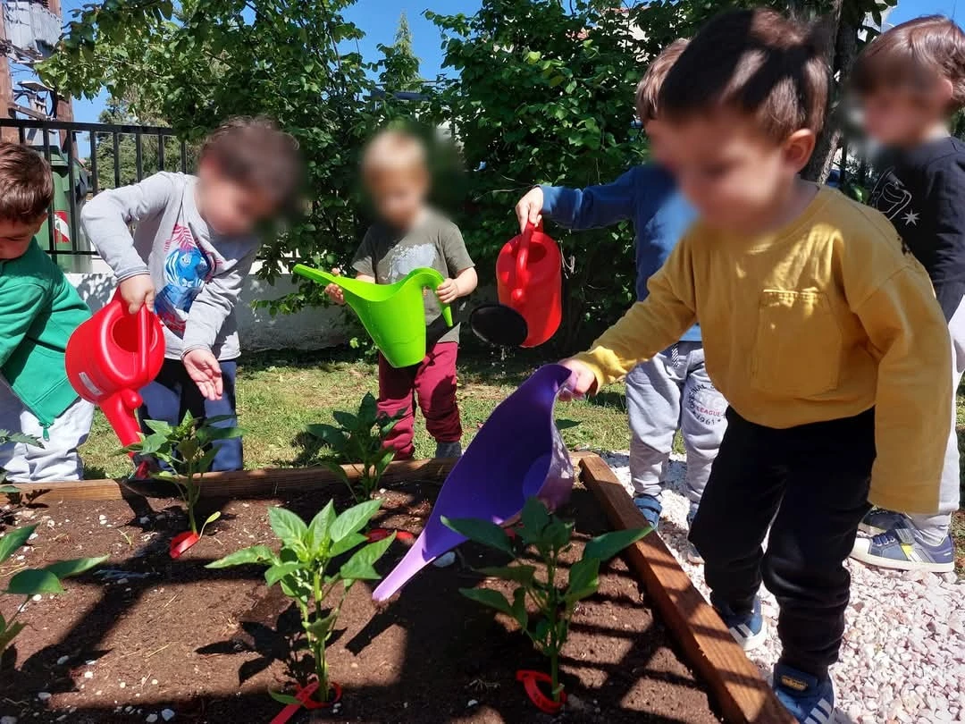 kokkinoskoyfitsa24.jpg?v=0