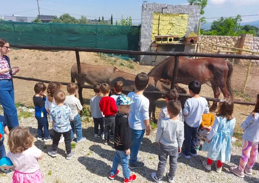 kokkinoskoyfitsa30.jpg?v=0