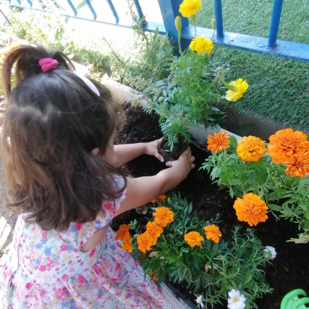 oyranio-tokso13.jpg?v=0