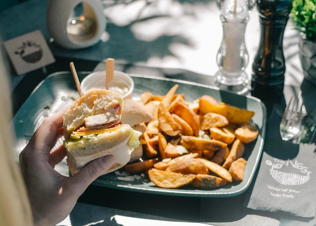 the-nest18.jpg?v=0 the-nest18.jpg?v=0